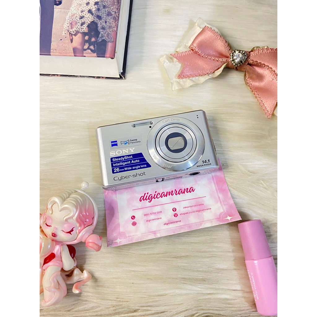 sony dsc w530