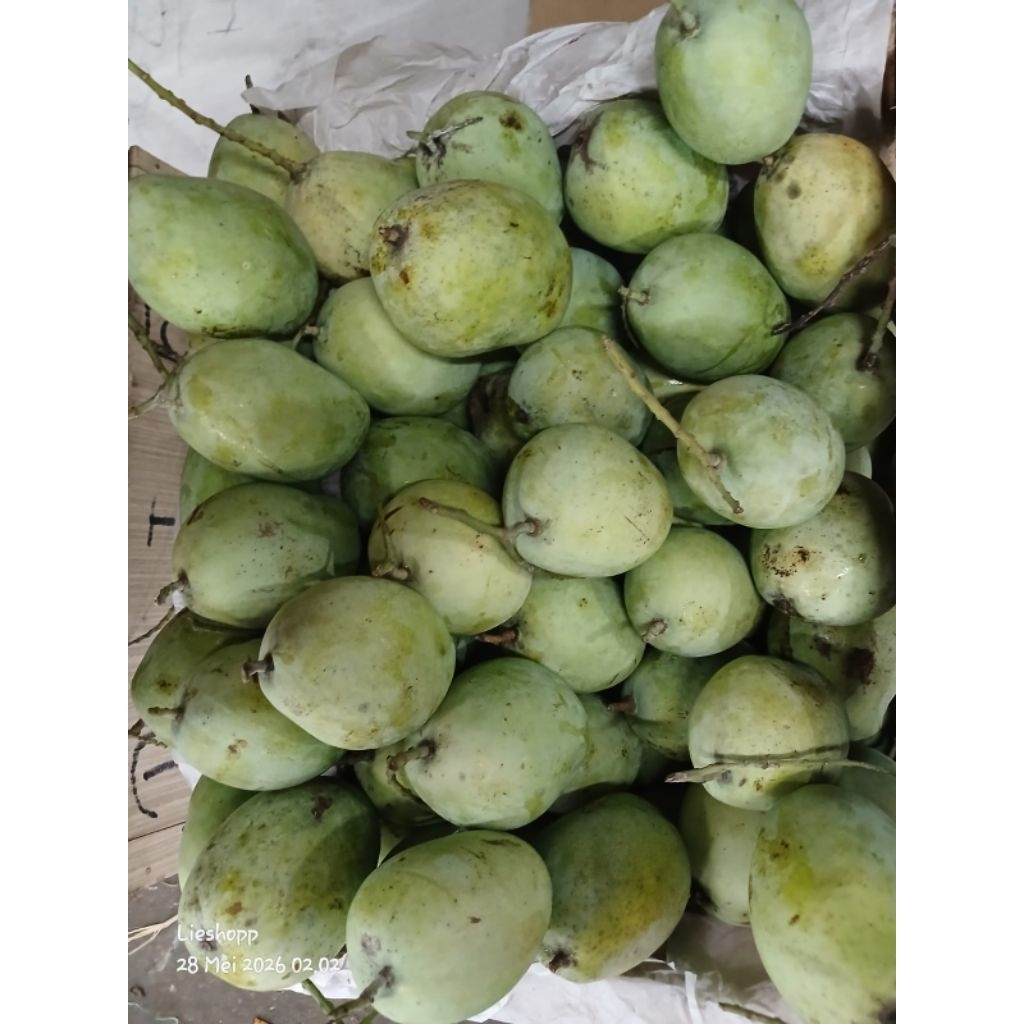 Mangga Indramayu segar manis
