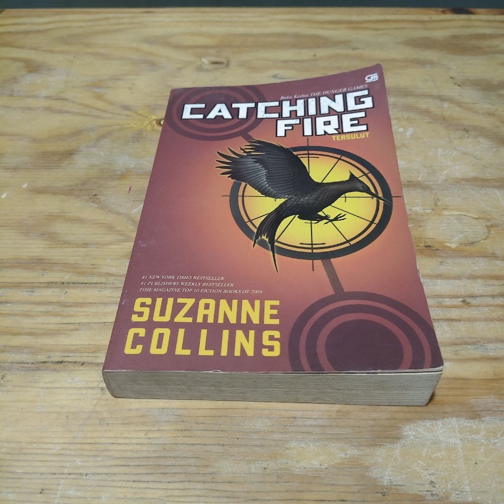 Novel Catching Fire