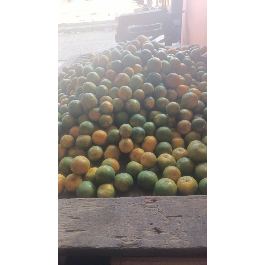 JERUK KEPROK KHAS KOTA MALANG JAWA TIMUR SUPER