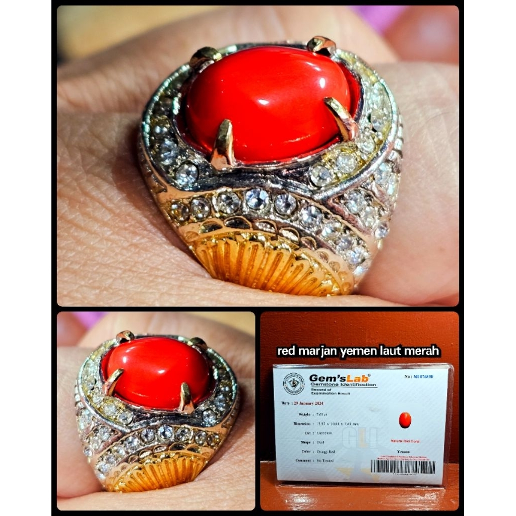 natural batu marjan merah super kuno asli alami dari ROUGH YA