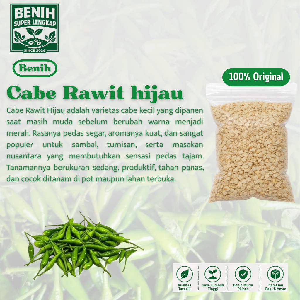 ( 1 Butir ) Benih Biji Cabe Rawit Hijau | Cabai Rawit Hijau | Cabe Hijau