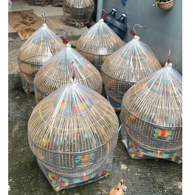 sangkar burung derkuku sangkar derkuku jemur