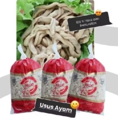 Usus Ayam Usus Ayam 1kg Beku