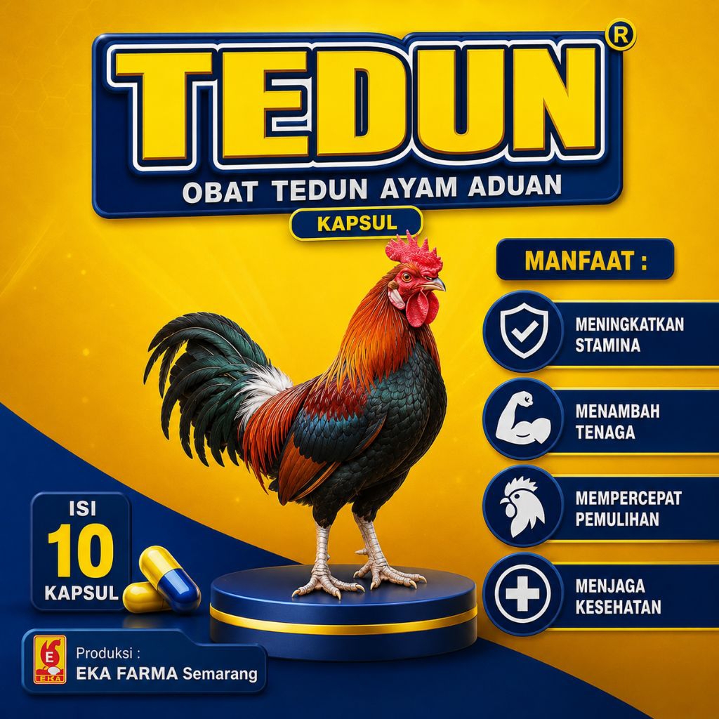 Kapsul Obat Turun Urat Ayam Tedun Lumpuh Pincang Eka Farma Jamu Ayam Aduan Bangkok Kaki Bengkak Manj
