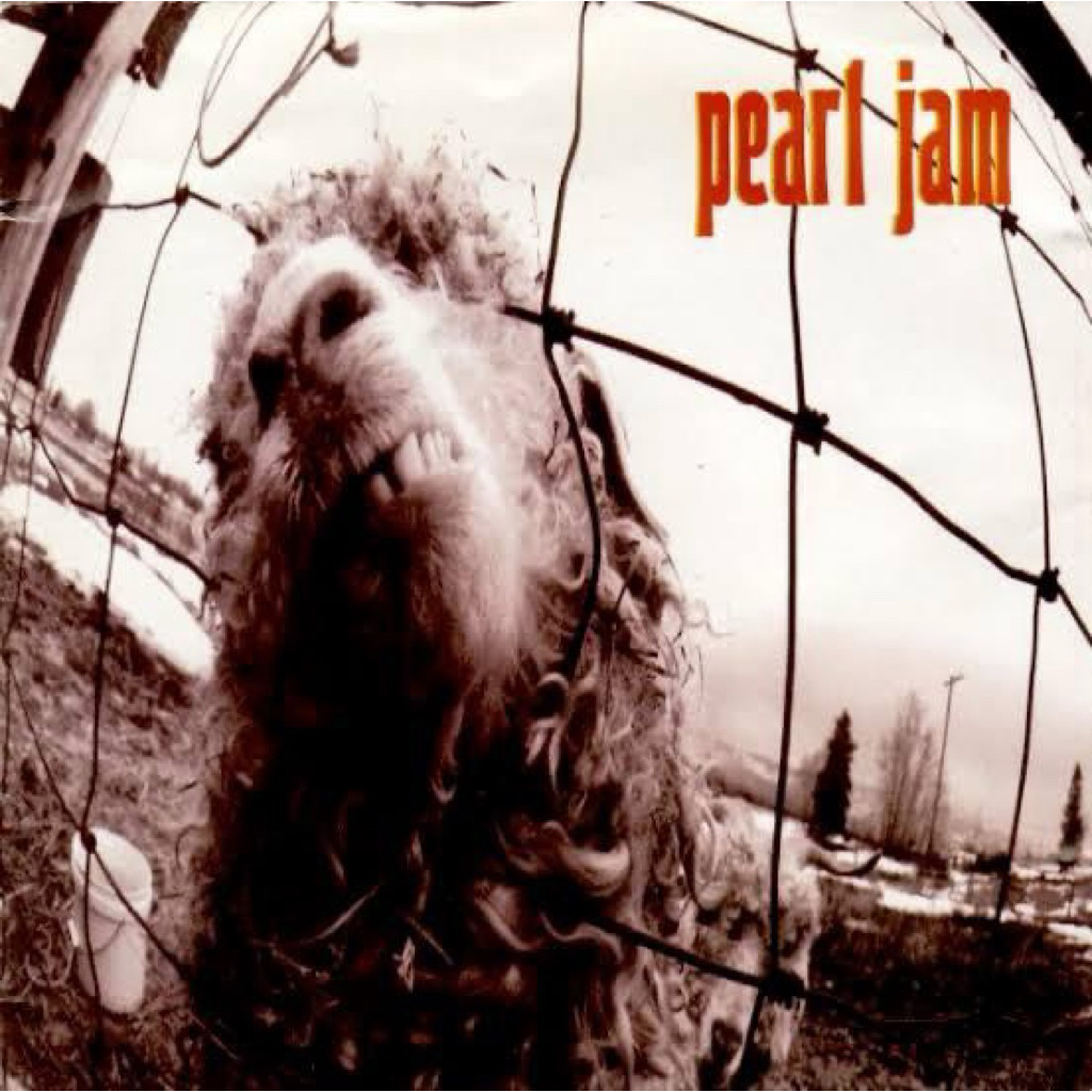 Pearl Jam - VS - CD Music Import Original
