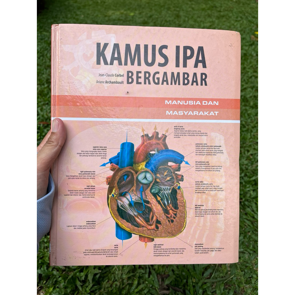 Kamus IPA Bergambar