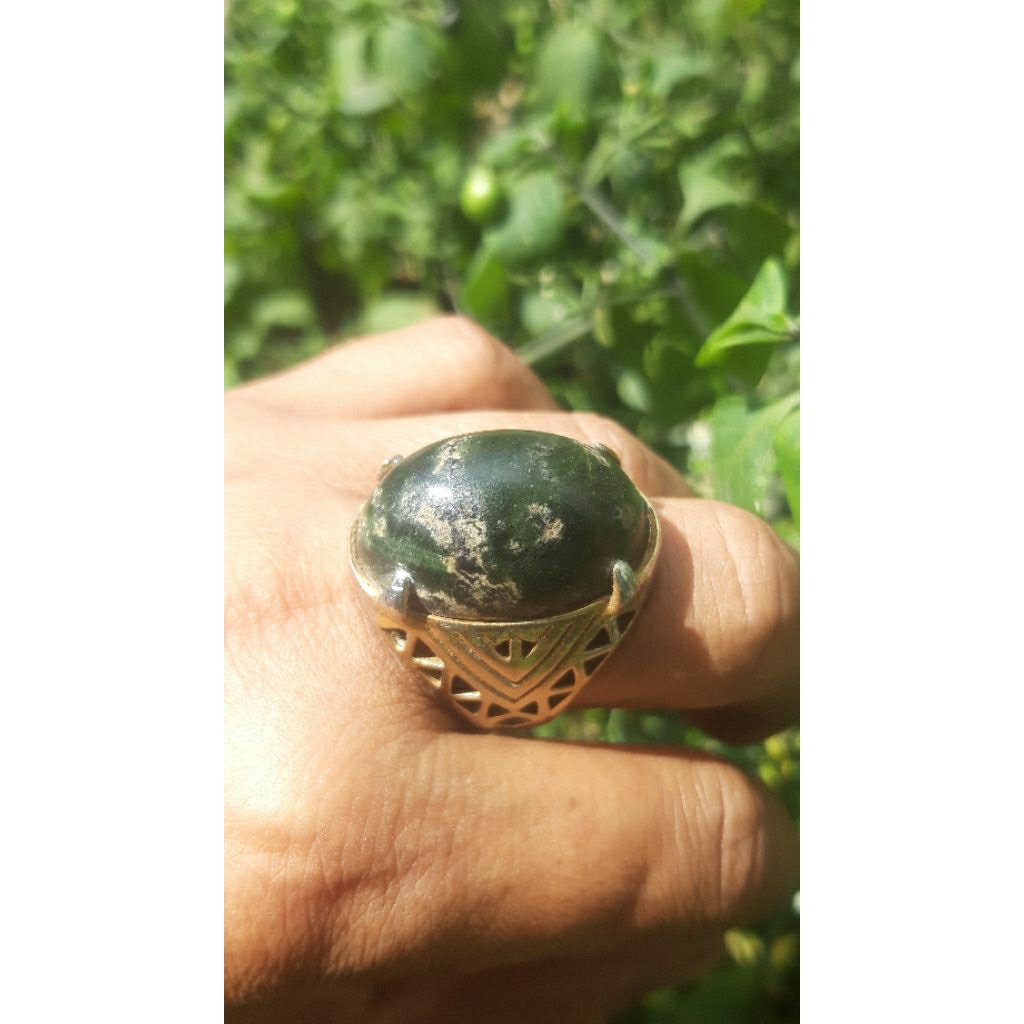 Badar besi hijau natural