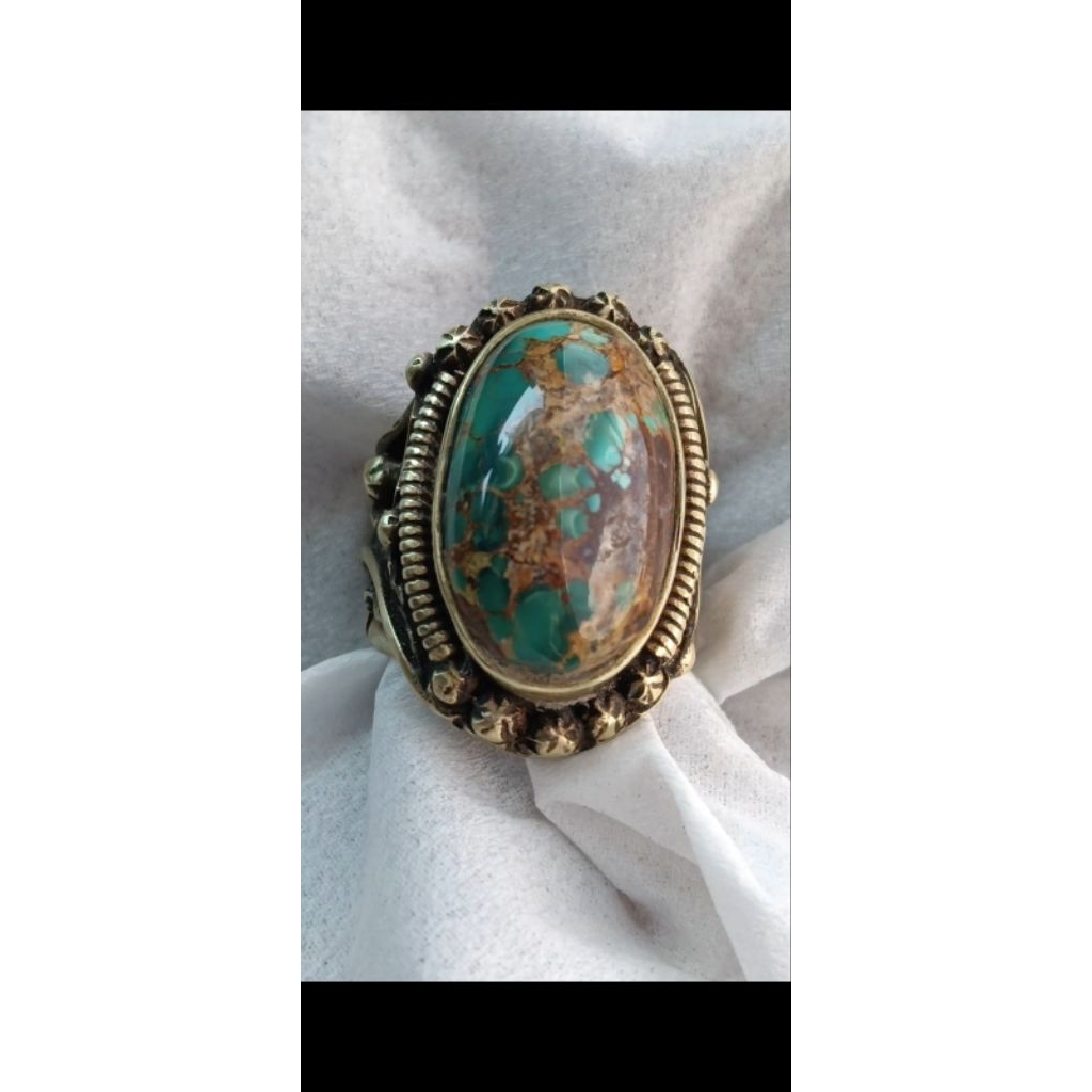 pirus persia hijau gradasi