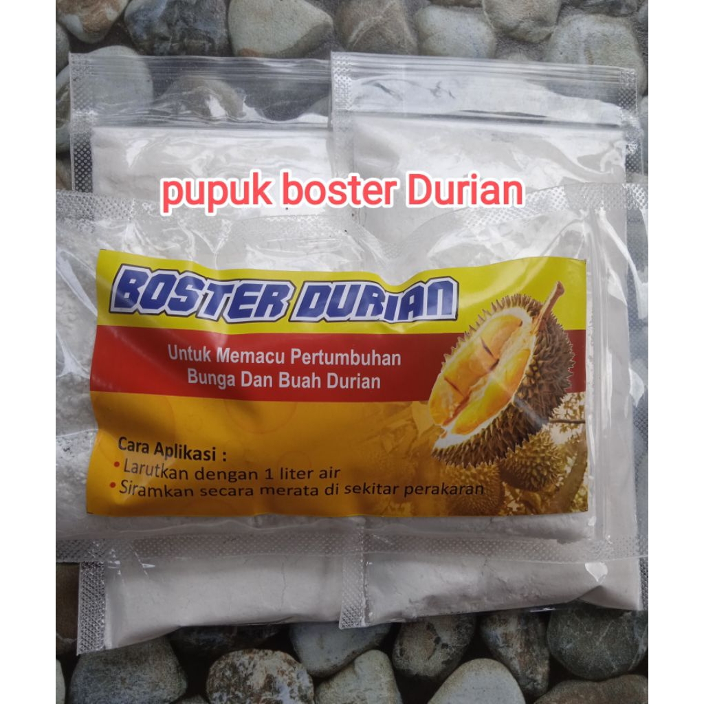 pupuk boster durian