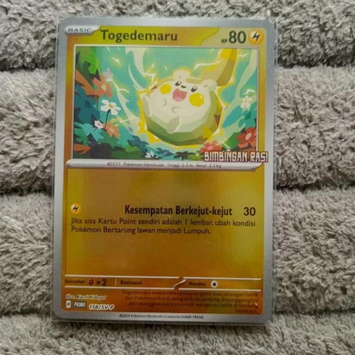 Kartu Promo Togedemaru Bimbingan Rasi