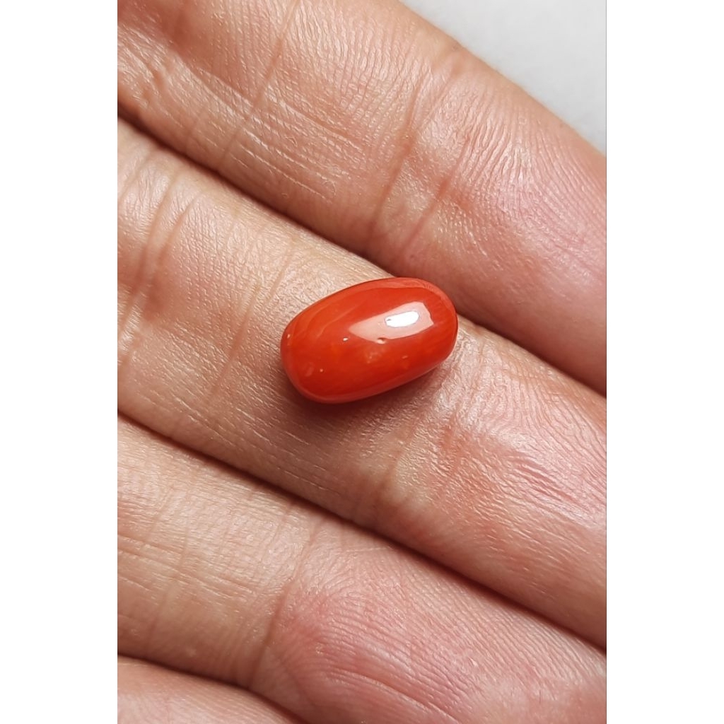 Batu marjan laut merah