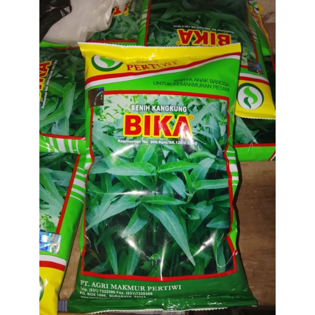 kangkung bika (bibit kangkung)