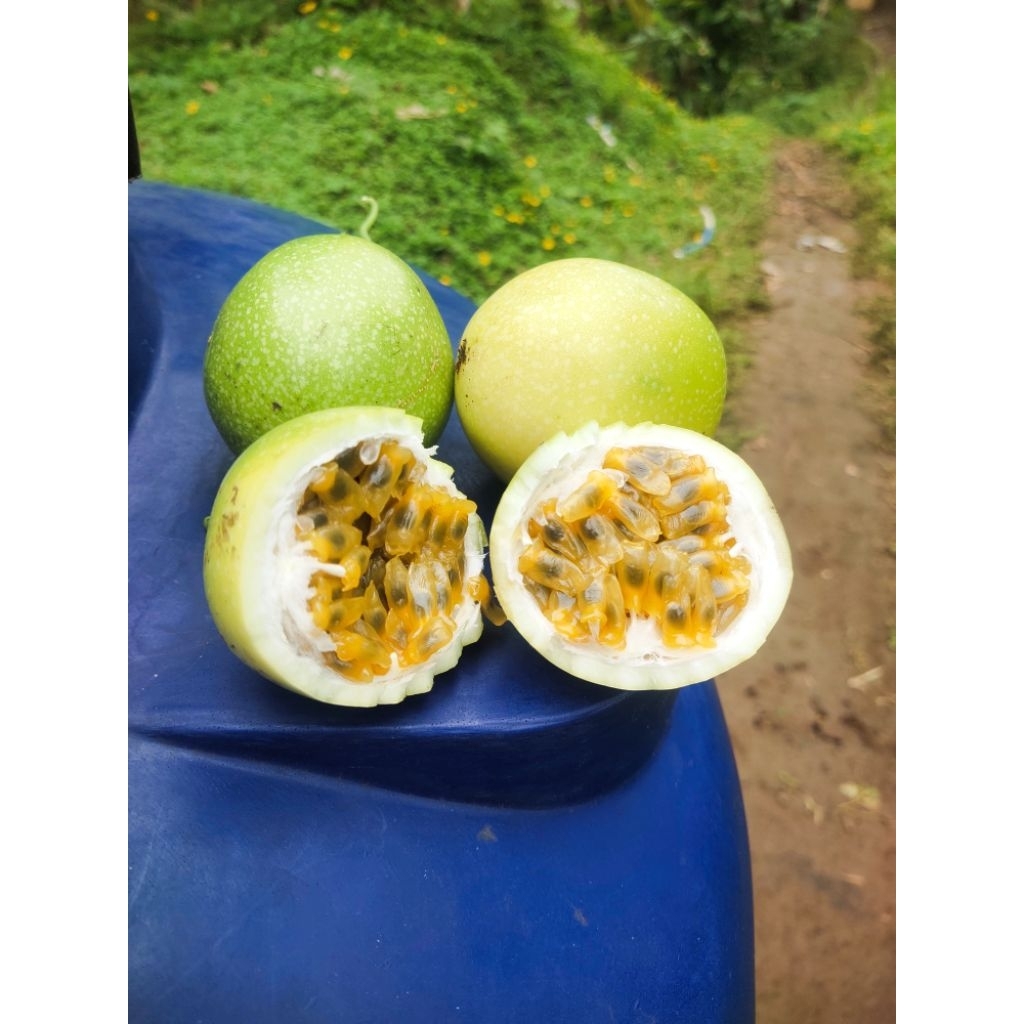buah markisa segar