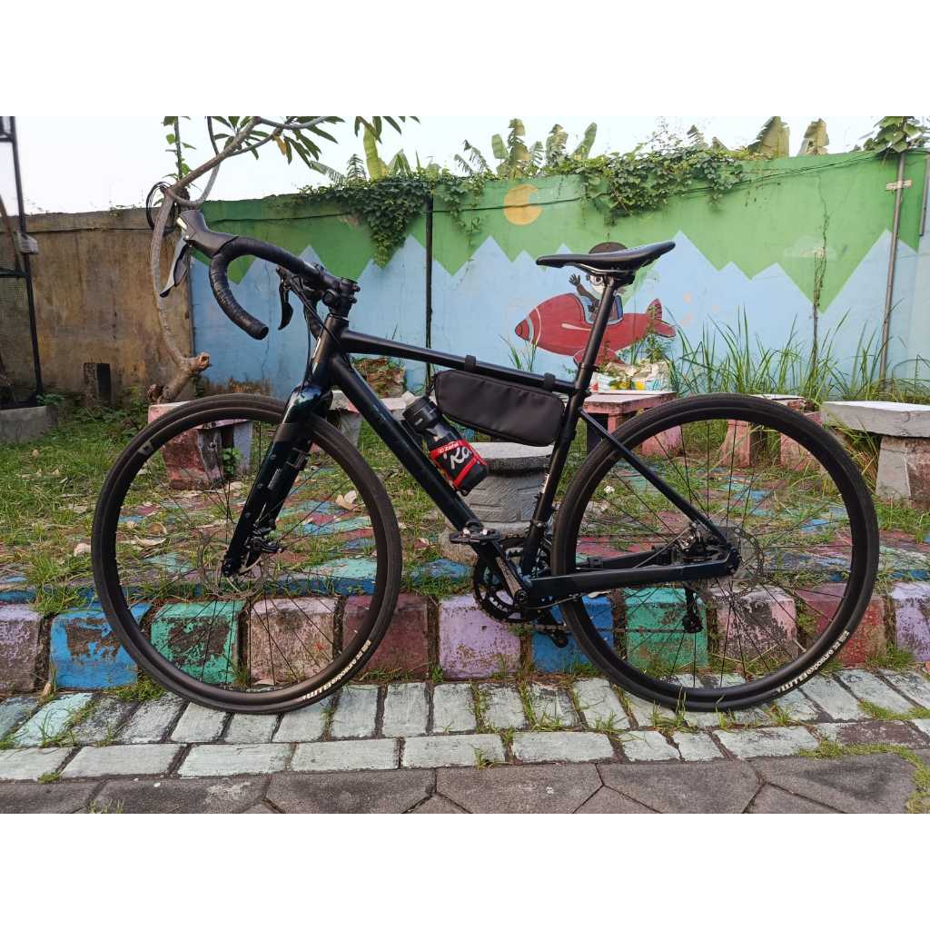 Marin Gestalt 2