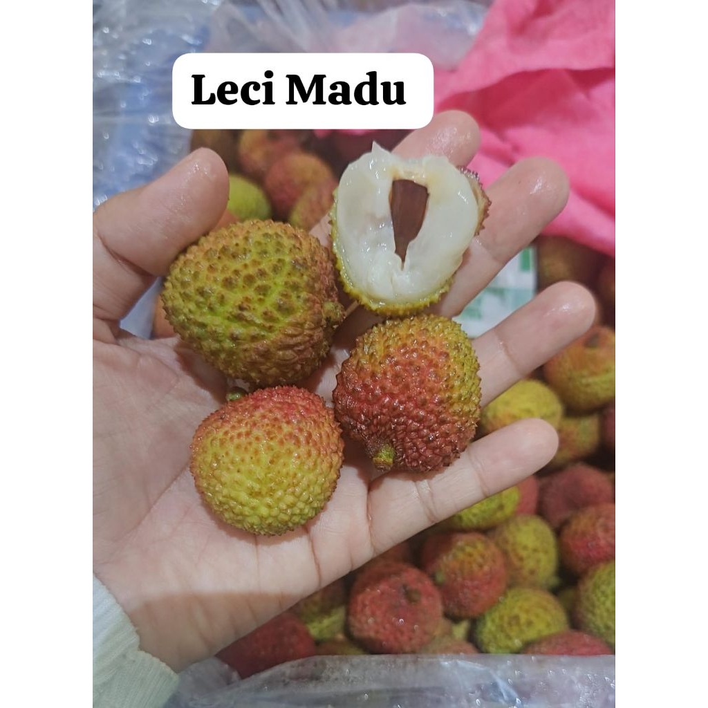LECI MADU