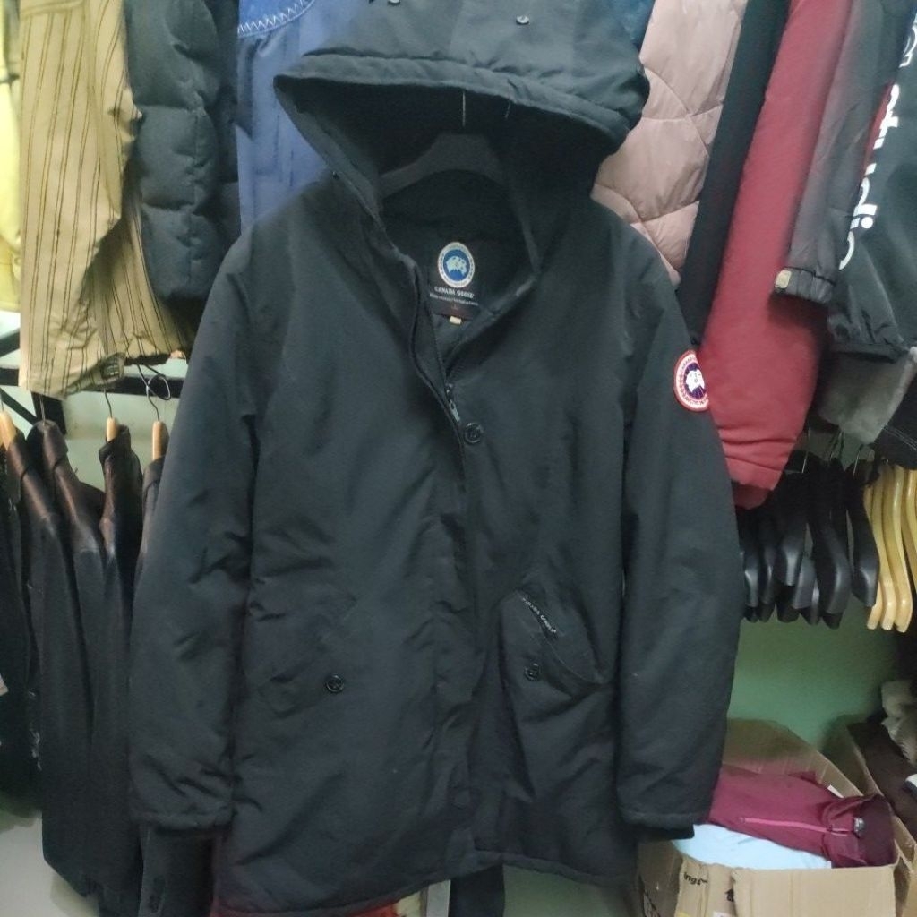 Bulu Angsa Canada Goose Black