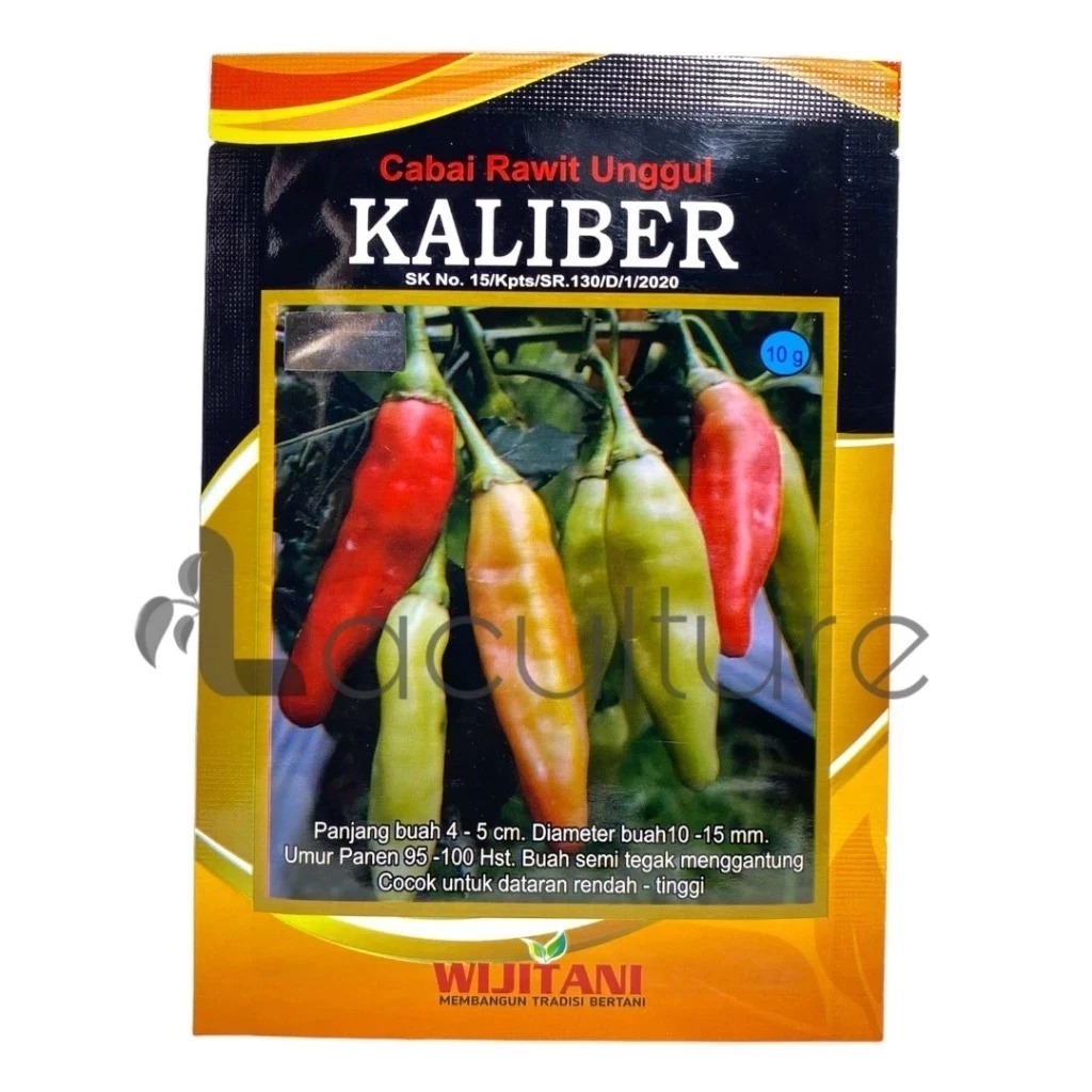 Benih cabe KALIBER 10gram, benih cabai rawit unggul kaliber wijitani,cabe setan