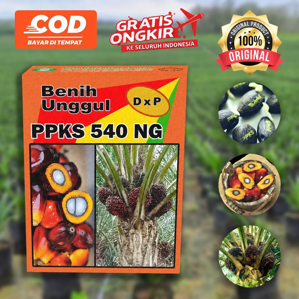 PPKS 540NG SUPER UNGGULAN DAN BERSERTIFIKAT RESMI