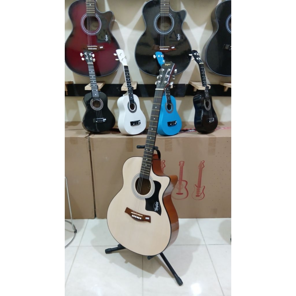 GITAR AKUSTIK NATURAL TAYLOR LOCAL