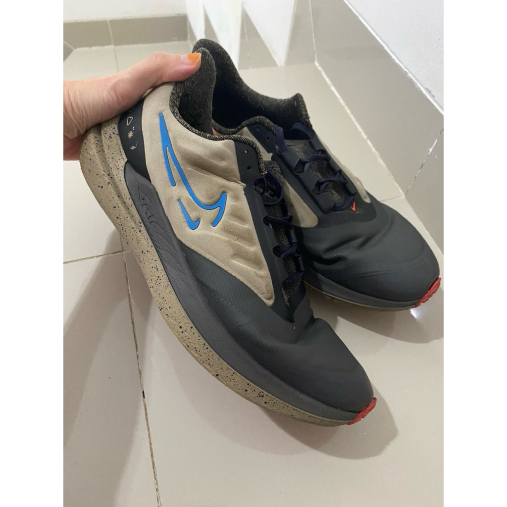 Nike Pegasus - Air zoom pegasus