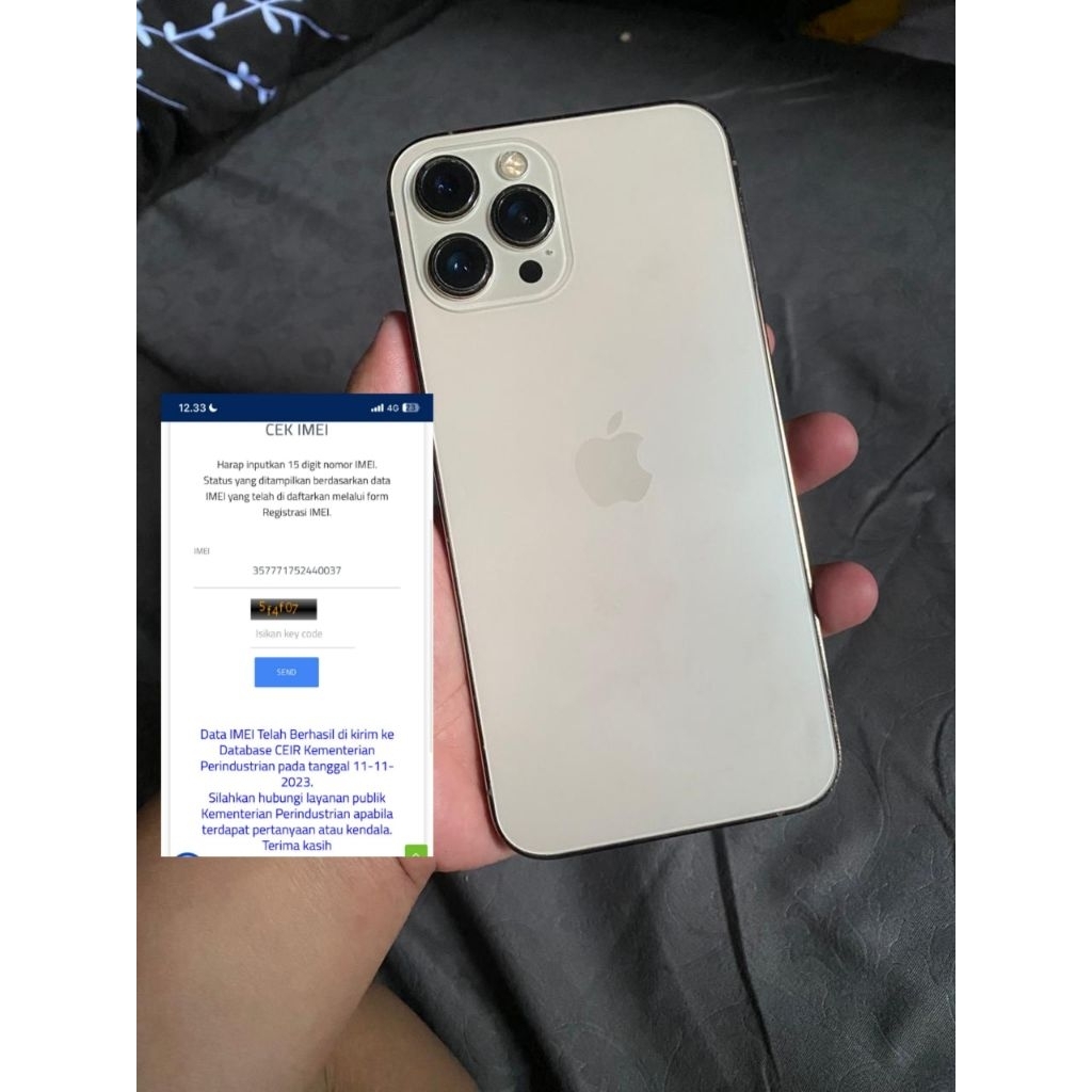 iPhone 12 ProMax 128GB Beacukai Resmi