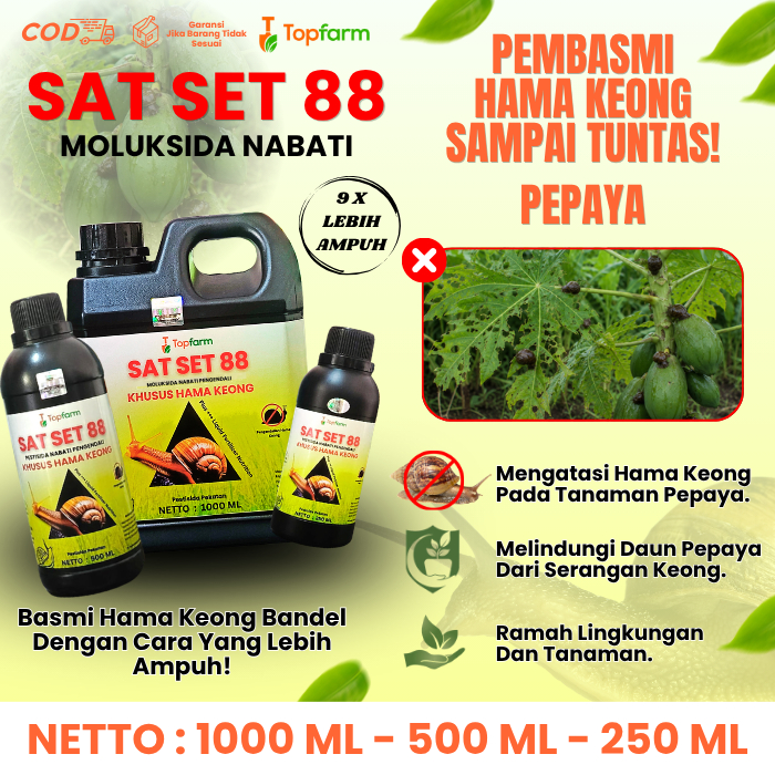 Obat Pembasmi Hama Keong Pepaya / Pestisida Pengendali Hama Keong Racun / Obat Semprot Hama Keong / 