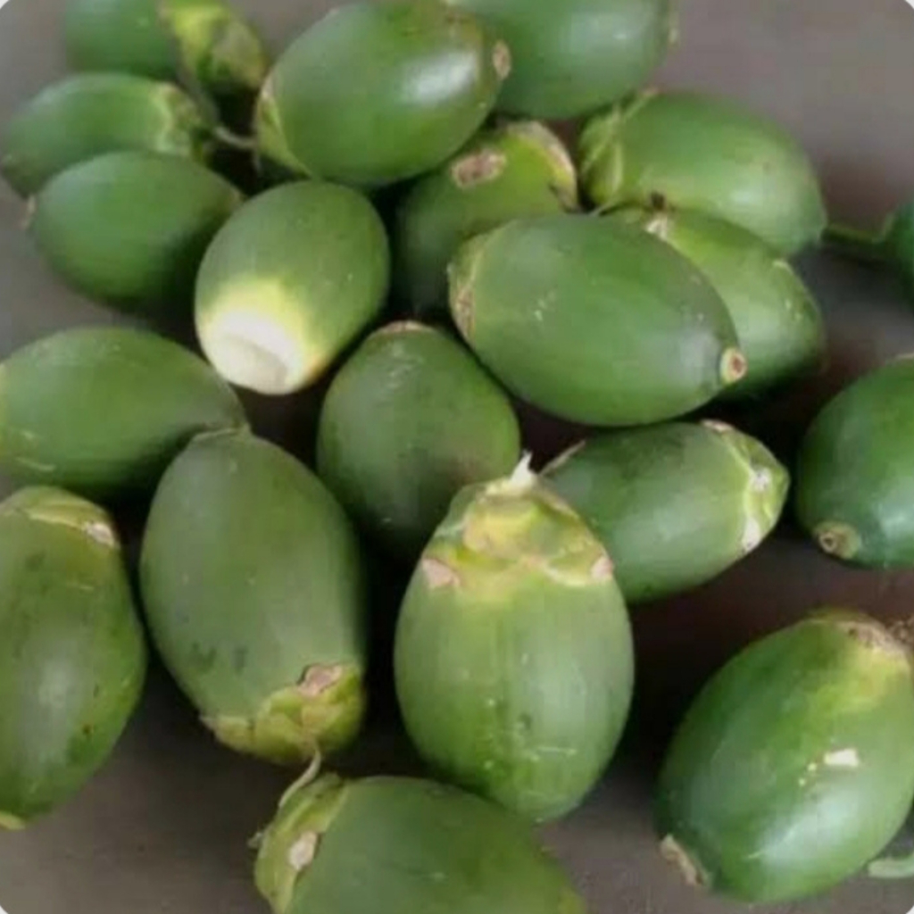 Buah Pinang Muda/Jambe Muda 1KG