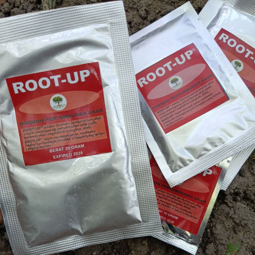 ROOT UP Hormon Pertumbuhan Akar / Perangsang Penumbuh Akar Cangkok Stek