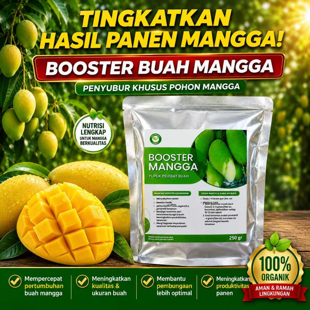 Pupuk mangga, Booster mangga, Pupuk buah mangga, pelebat buah mangga, Perangsang bunga mangga.