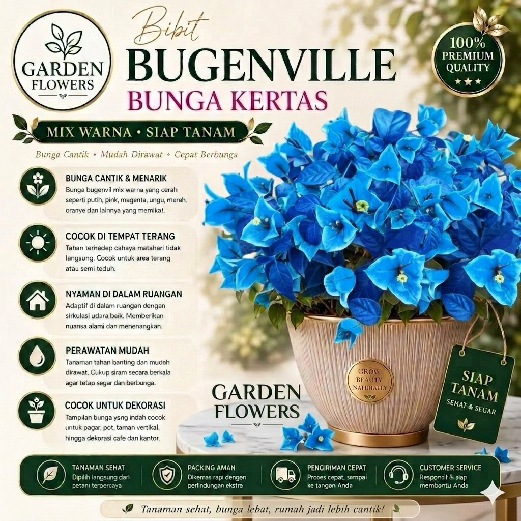 Promo Termurah Tanaman Hias Bougenville Bunga Biru Tanaman Hias Bougenville Bunga Biru (COD)