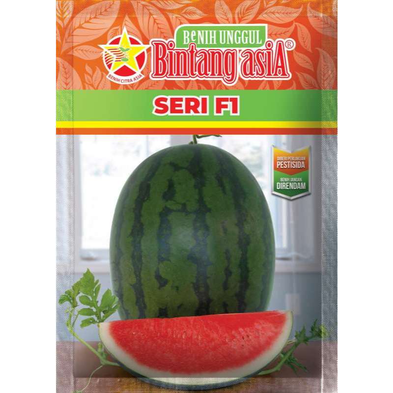 SEMANGKA NON BIJI SERI F1 DARI BINTANG ASIA, 20 GRAM, SEMANGKA OVAL