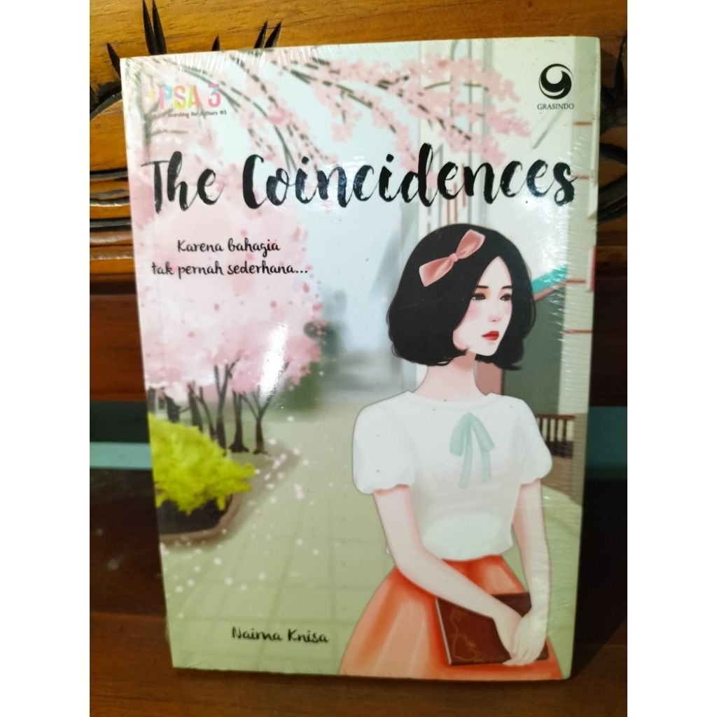 novel remaja/novel original/the coincidences