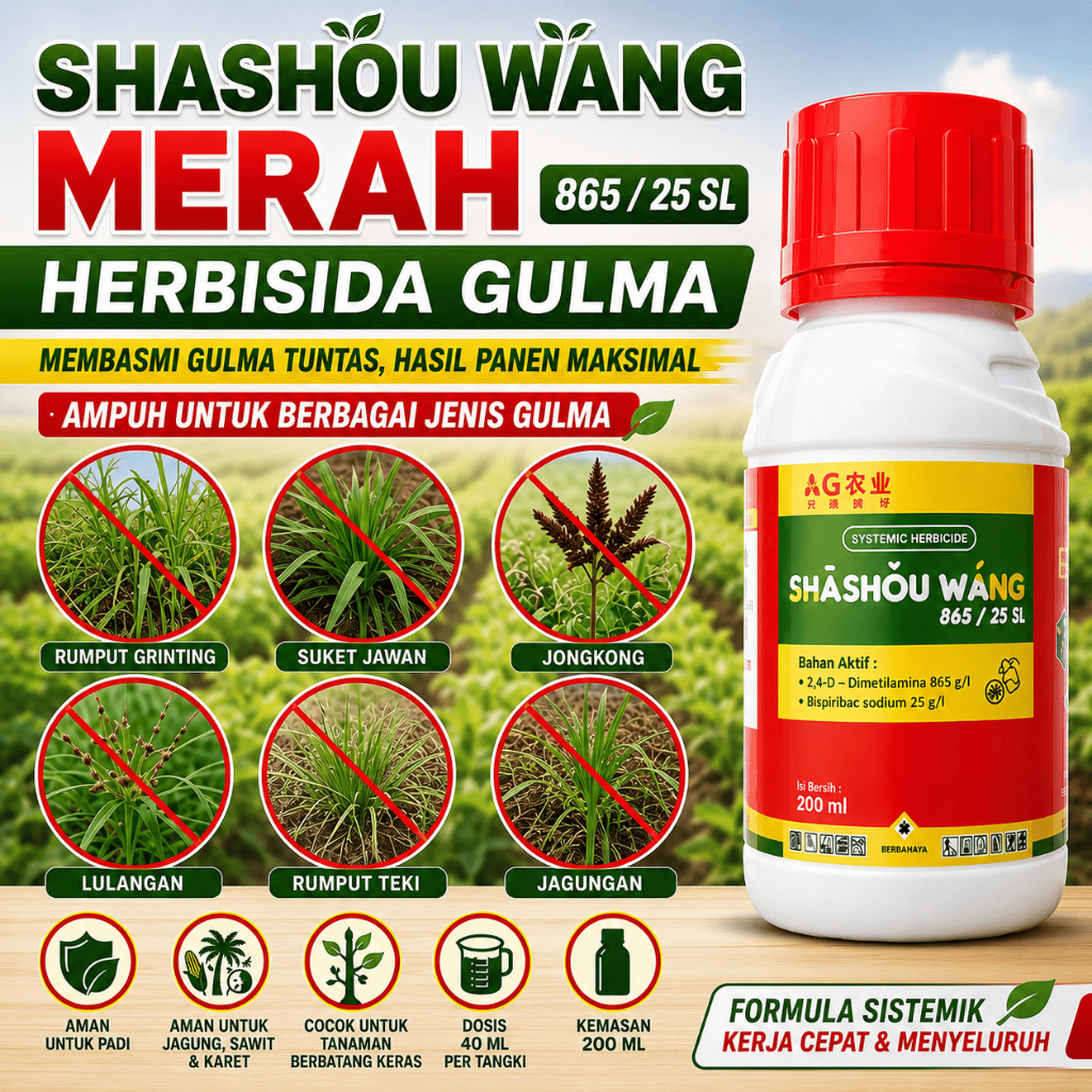 SASOWANG Herbisida mengatasi rumput grinting,jawan,jagoan,teki dll, Aman untuk tanaman pokok