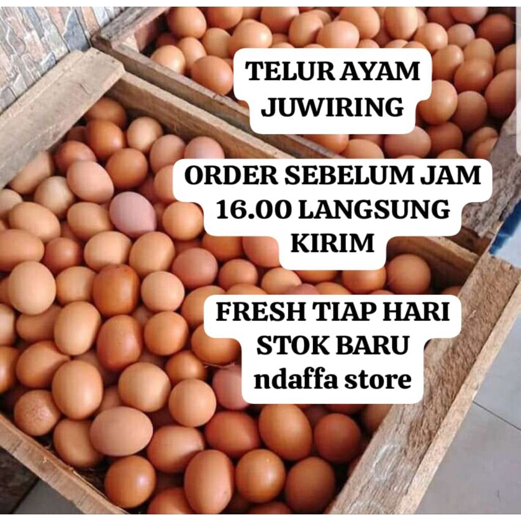 TELUR AYAM INSTAN, AREA KLATEN JUWIRING CEPER PEDAN TRUCUK KARANGDOWO WONOSARI #langsung kirim PO cu