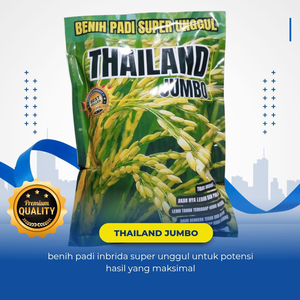 Benih padi Thailand jumbo 1kg benih padi unggulan