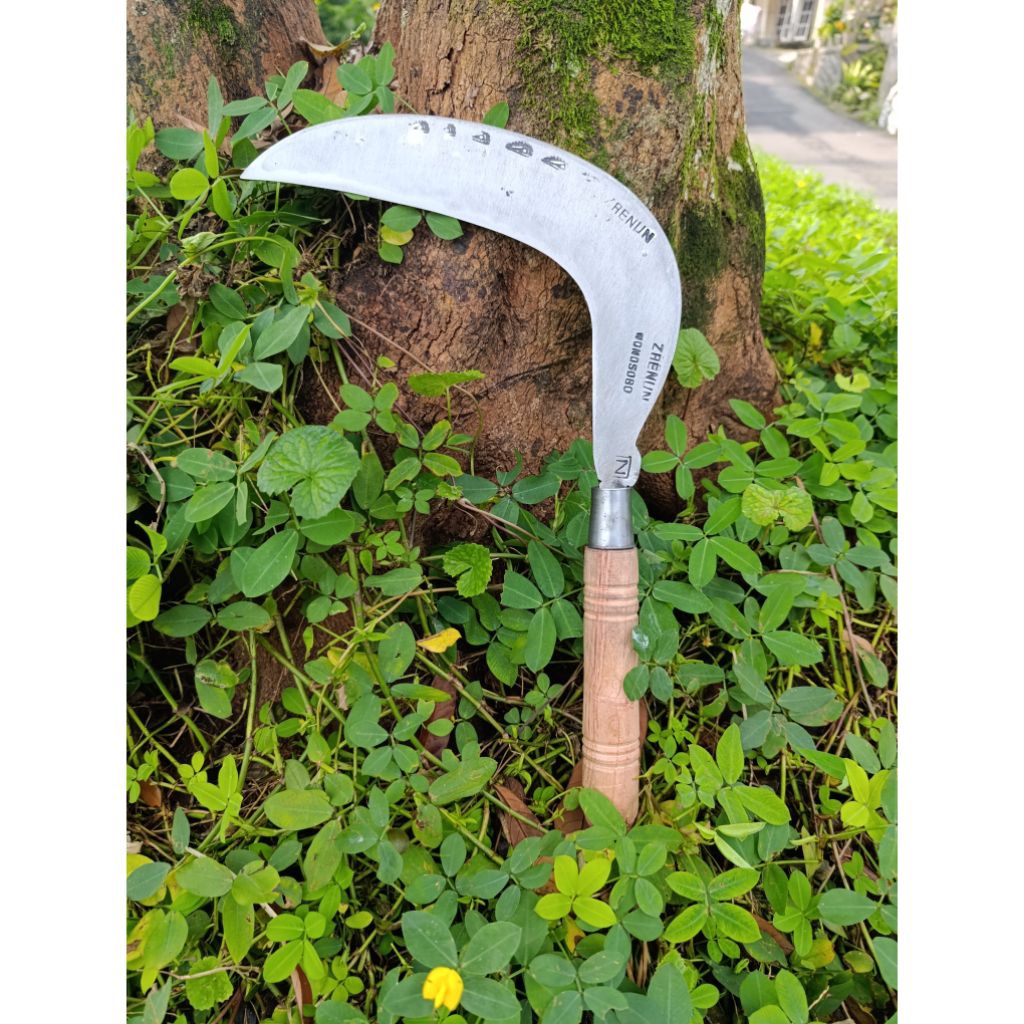 arit rumput model lawung baja isen asli wonosobo