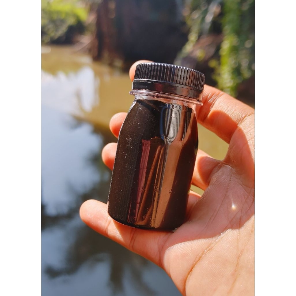 Minyak Bumi Asli Kalimantan