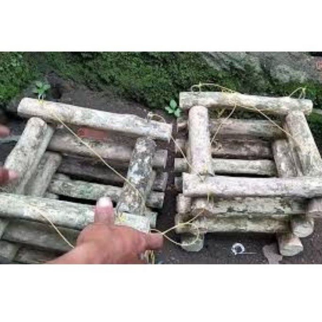 Pot kayu kopi Kokoh,Pot kayu kopi wadah tanaman anggrek sejenisnya pot kayu kopi tahan lama