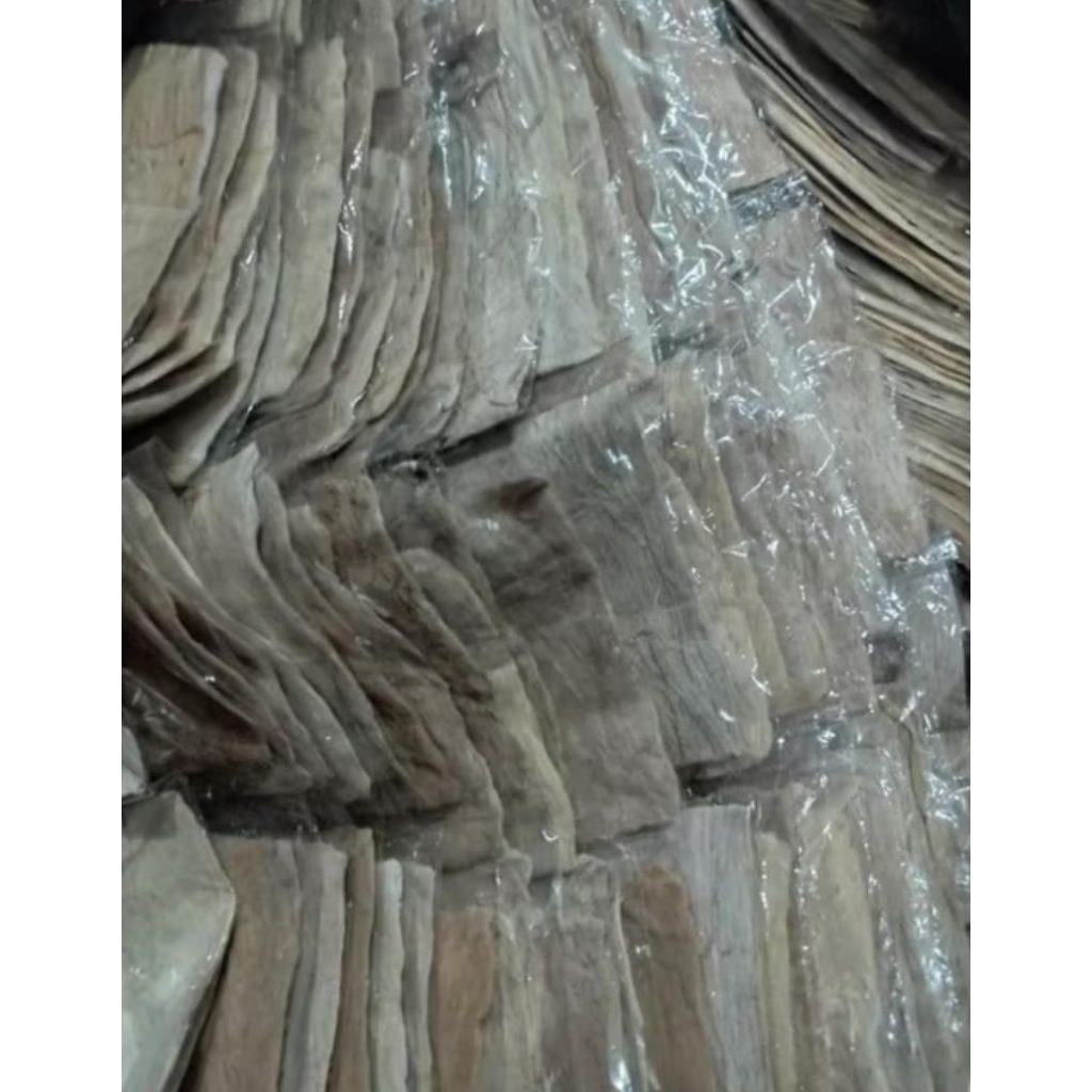 SERAT TINTA PENA TUTUL / SERAT POHON PISANG / ARES PENA TUTUL