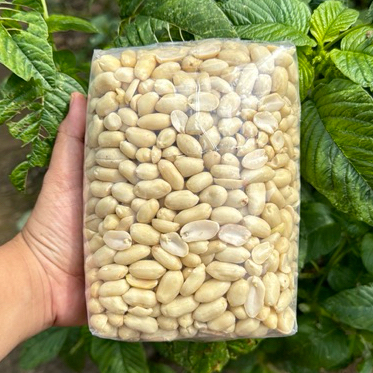 Kacang Tanah Mentah Kacang Tanah Kupas Ukuran Besar Jumbo 1kilo