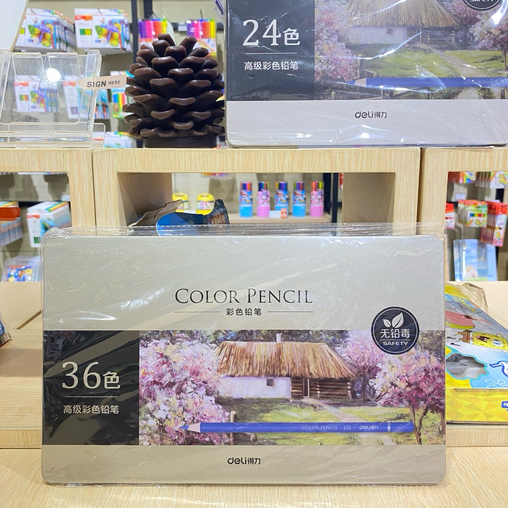 DELI Pencil Color Oil Pencil Warna Premium Berkualitas Original