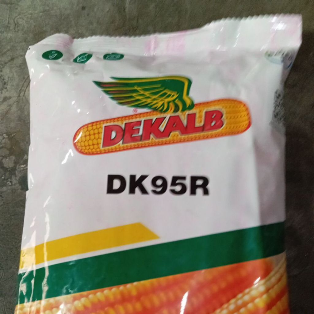 Benih jagung dk95r 1kg