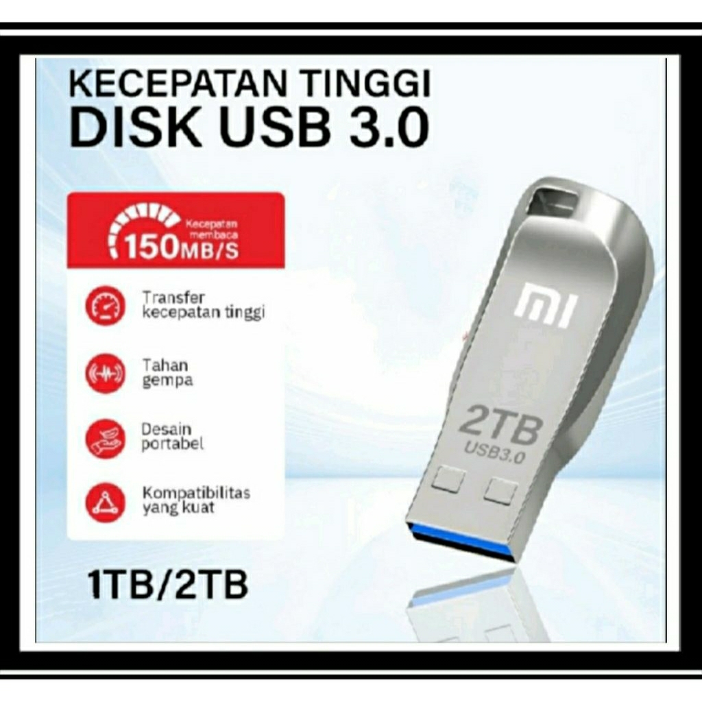 FLASHDISK 2TB XIAOMI PLESDIS MI 2 TERA FREE 3MACAM