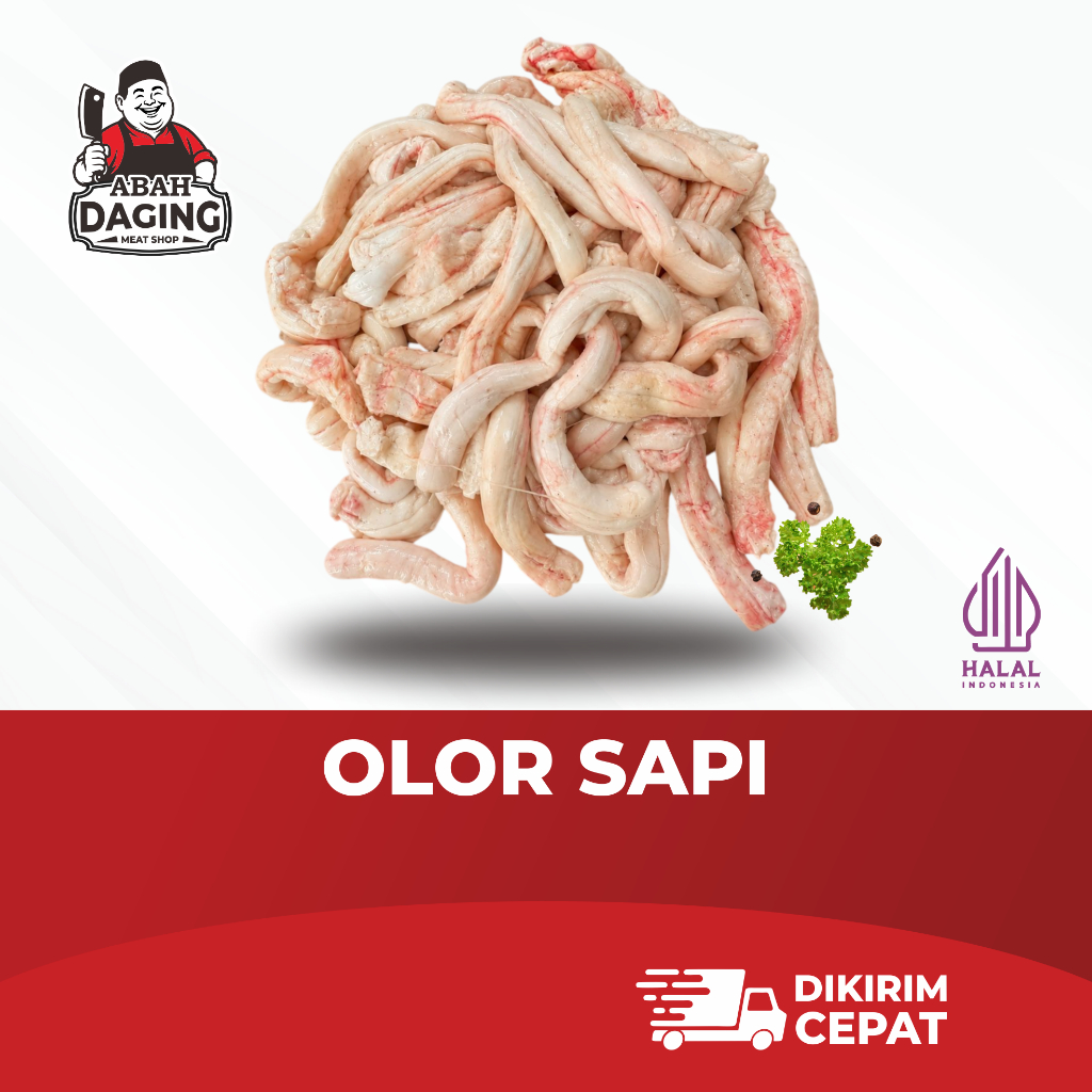 Olor Sapi | sumsum tulang belakang sapi | otot sapi