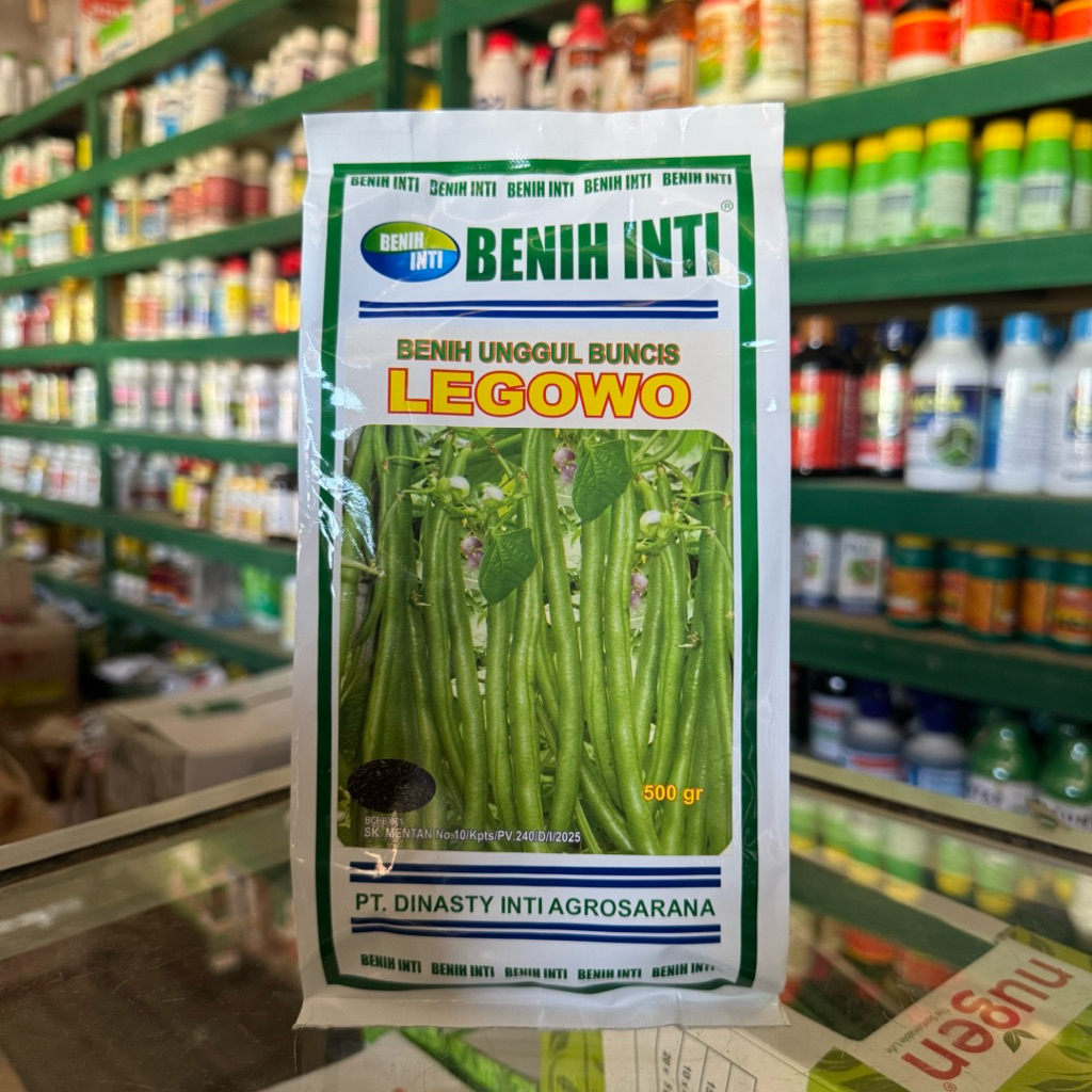 Benih Buncis Legowo 500 gram - Tahan Virus Benih Inti