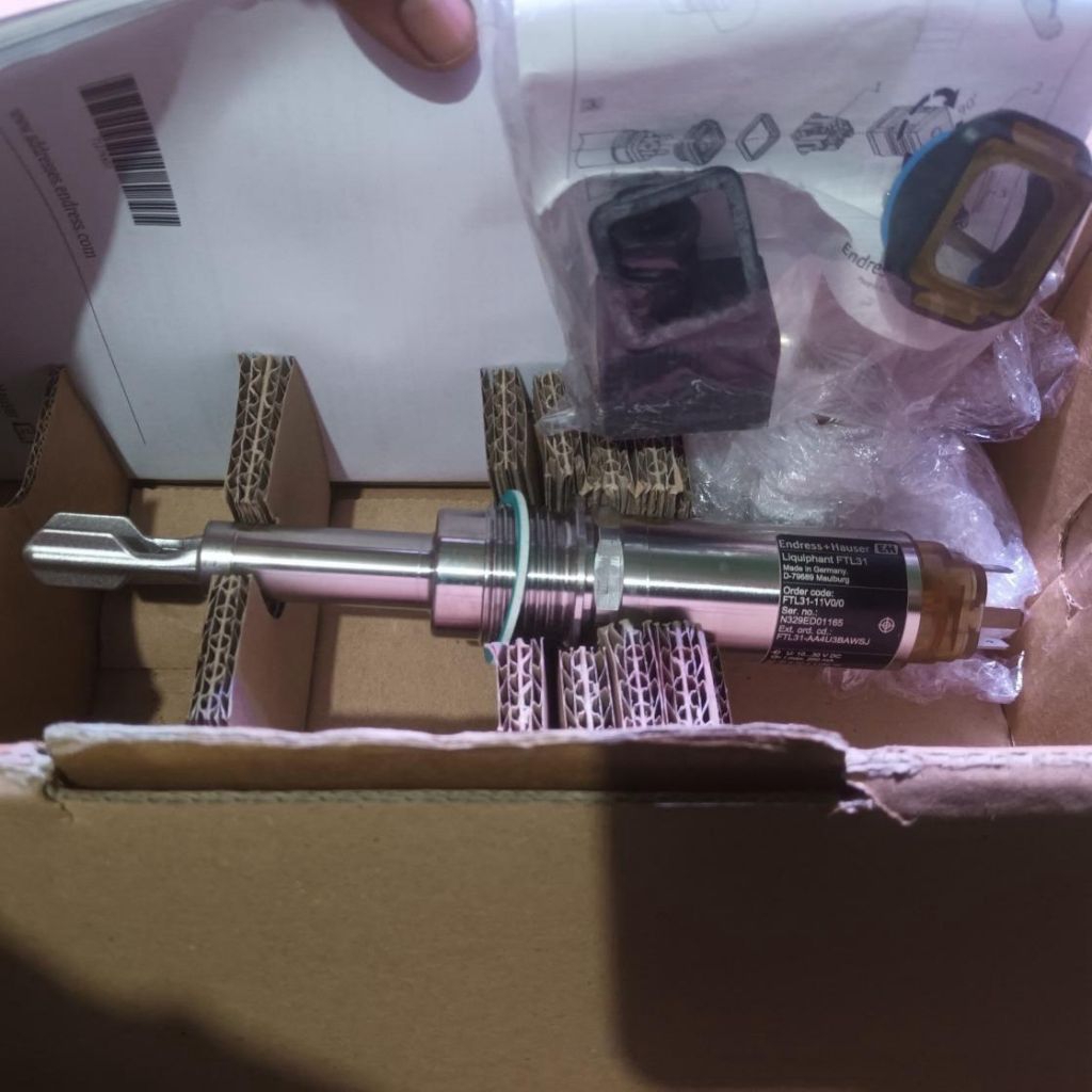 Endress hauser point level switch FTL31-11V0/0 FTL31
