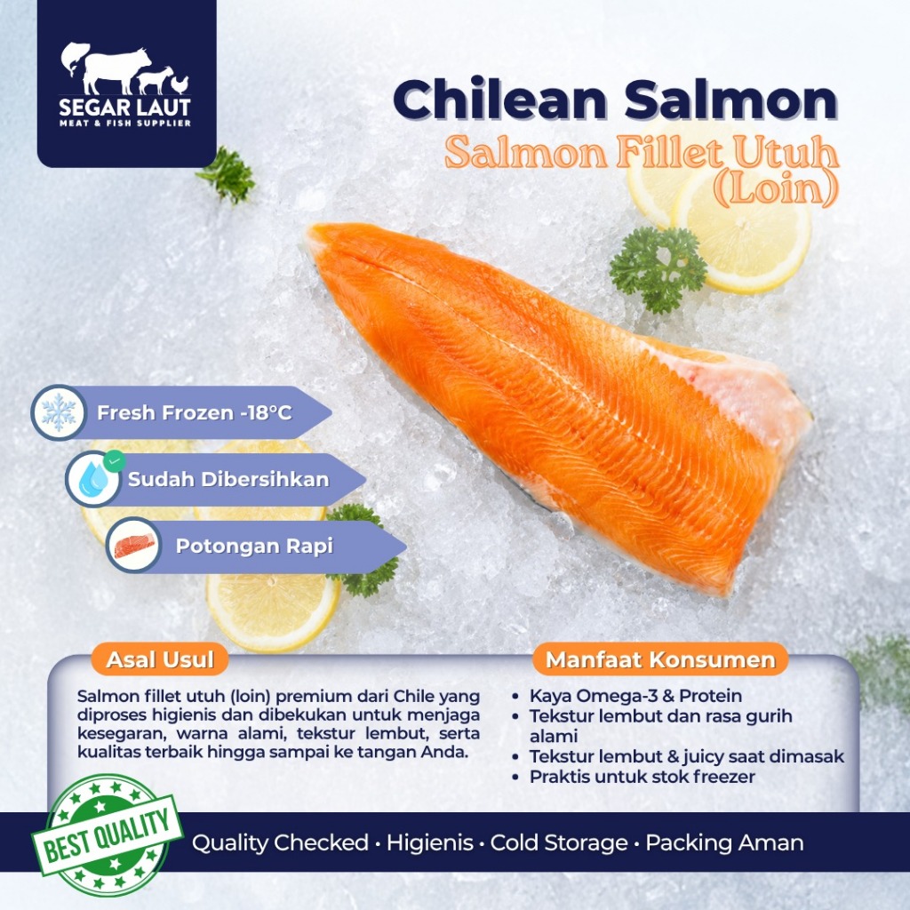 IKAN SALMON FILLET UTUH / LOIN | FRESH FROZEN & SEGAR