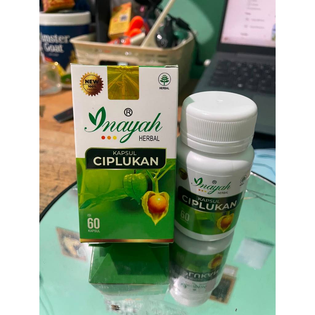 KAPSUL CIPLUKAN kapsul daun ciplukan inayah 60 kapsul