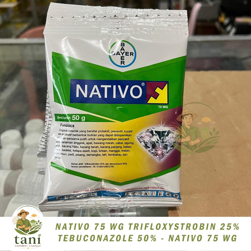 NATIVO 75 WG TRIFLOXYSTROBIN 25% TEBUCONAZOLE 50% - NATIVO 75 WG